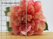 N-draadglas-blank