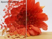 Byzantijn fijn blank