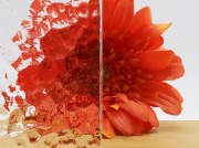 Byzantijn-fijn-blank