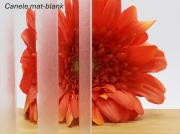 Canele mat blank Flutes