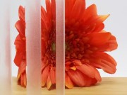 Canele-mat-blank-Flutes