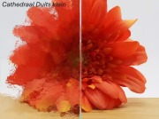 Cathedraal Duits Klein