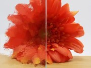 Cathedraal-Duits-Klein