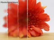 Masterligne blank