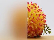 Etsglas extra helder