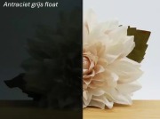 Antraciet Grijs float