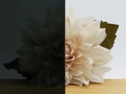 Antraciet-Grijs-float