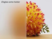 Etsglas extra helder