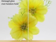Gelaagd glas met heldere folie