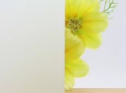 Gelaagd-glas-met-matte-folie