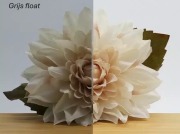 Grijs float