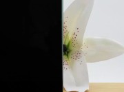 Lacobel-blank-float-RAL-9005-Classic-Black