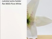 Lacobel extra helder RAL 9003-Pure White