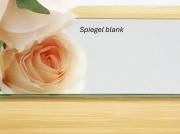 Spiegel blank