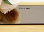 Spiegel brons