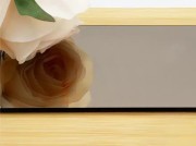 Verzilverd-brons-float